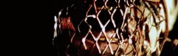 The Dead Next Door (1989) #jackmeatsflix