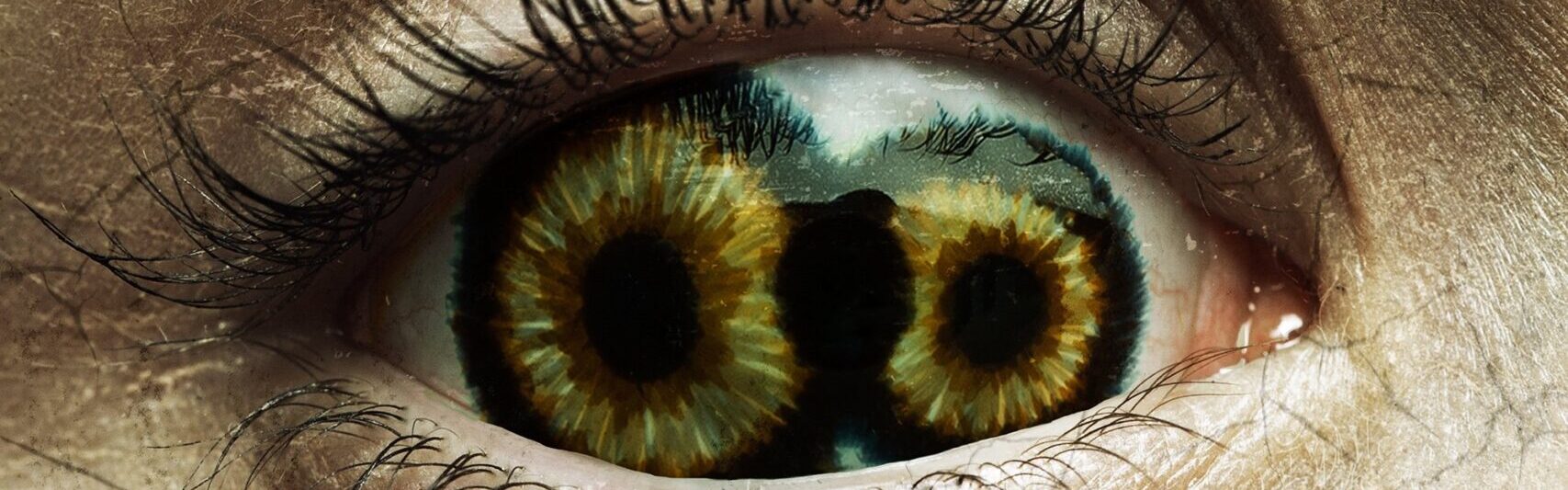 Never Blink (2025) #jackmeatsflix