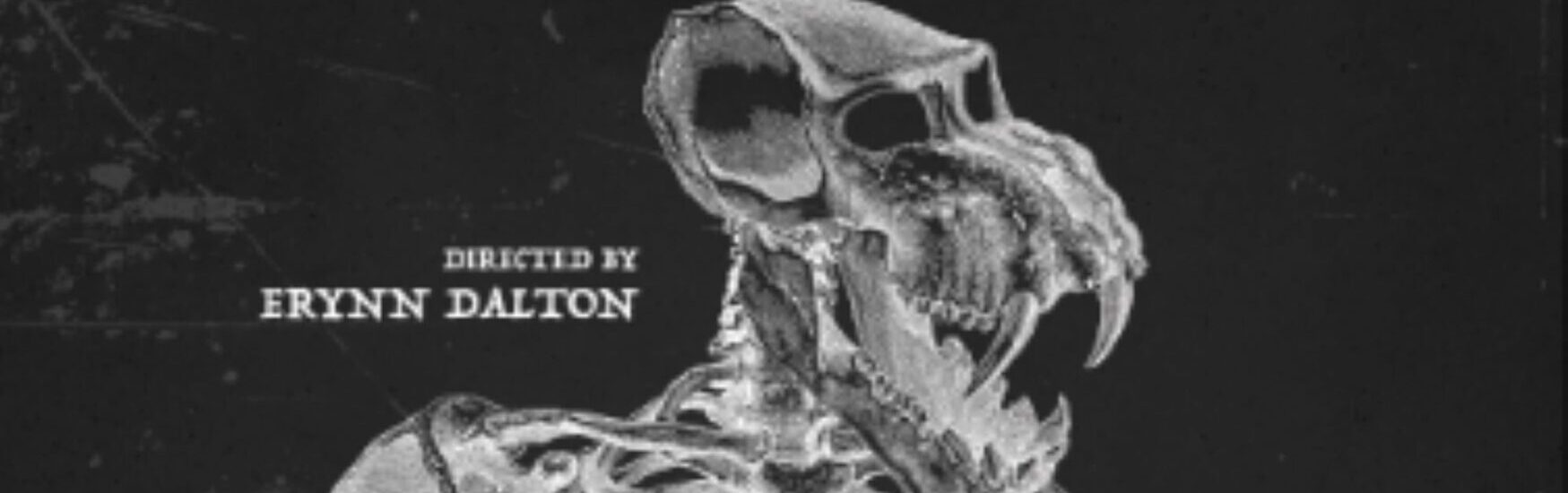 American Cryptids (2025)